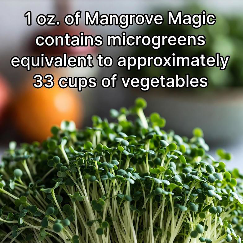 Mangrove Magic: Microgreen Earthy Seasoning Blend
