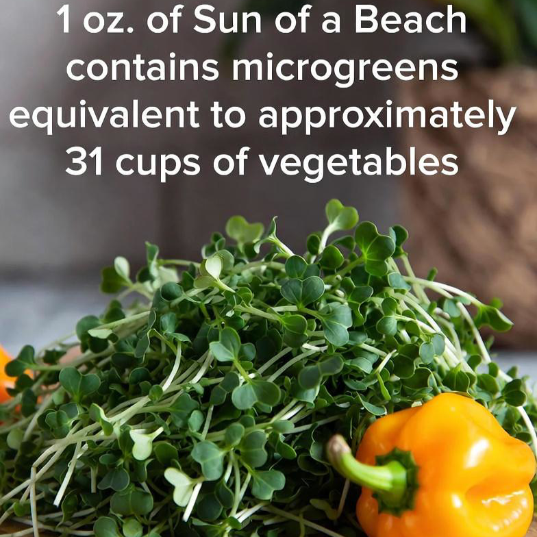 Sun of a Beach: Kale Microgreen Habanero Seasoning Blend